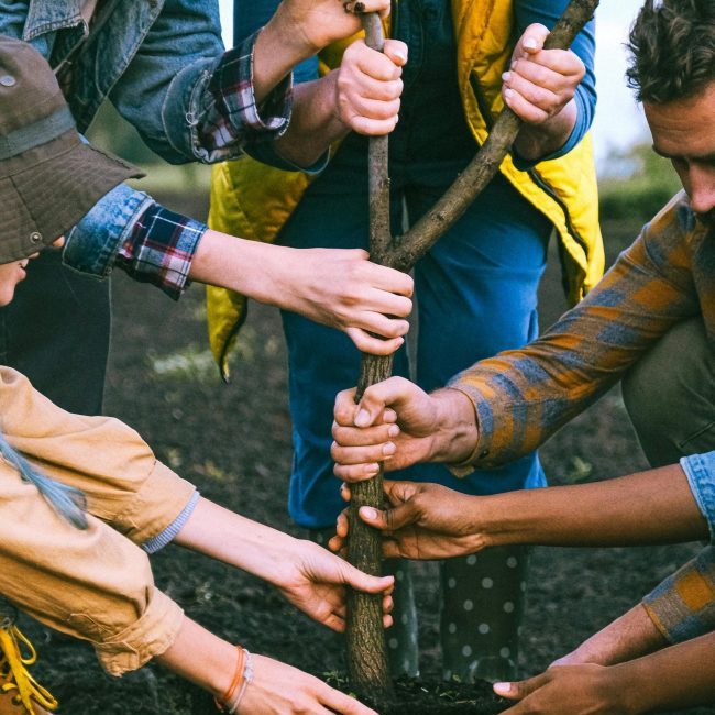 pexels-shvetsa-5030010